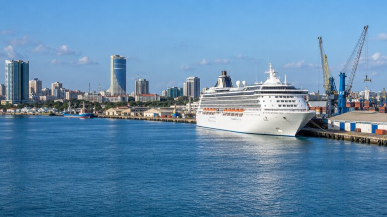 Cruise ship at Dar es Salaam’s commercial harbor