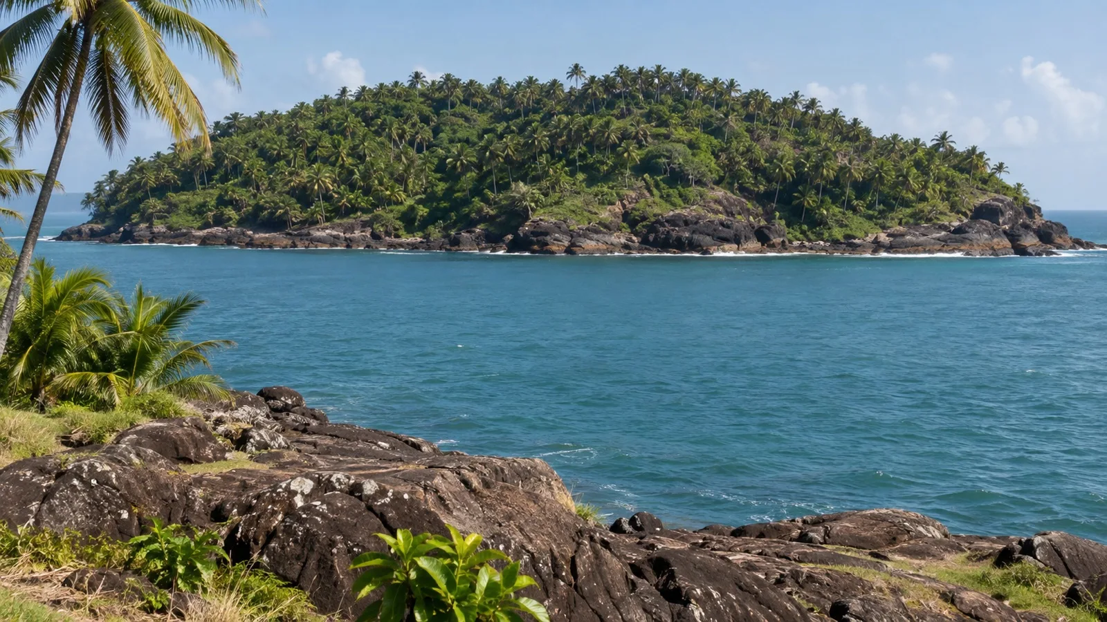 Palm-covered Devil’s Island seen across the channel from Île Royale