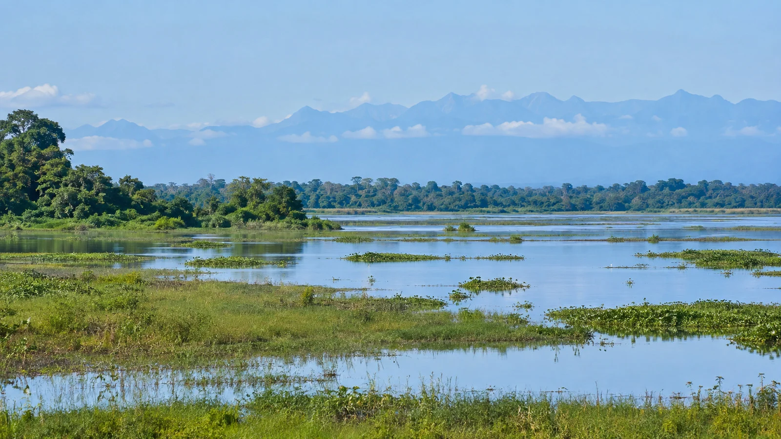 Dibru-Saikhowa wetland landscape near Dibrugarh