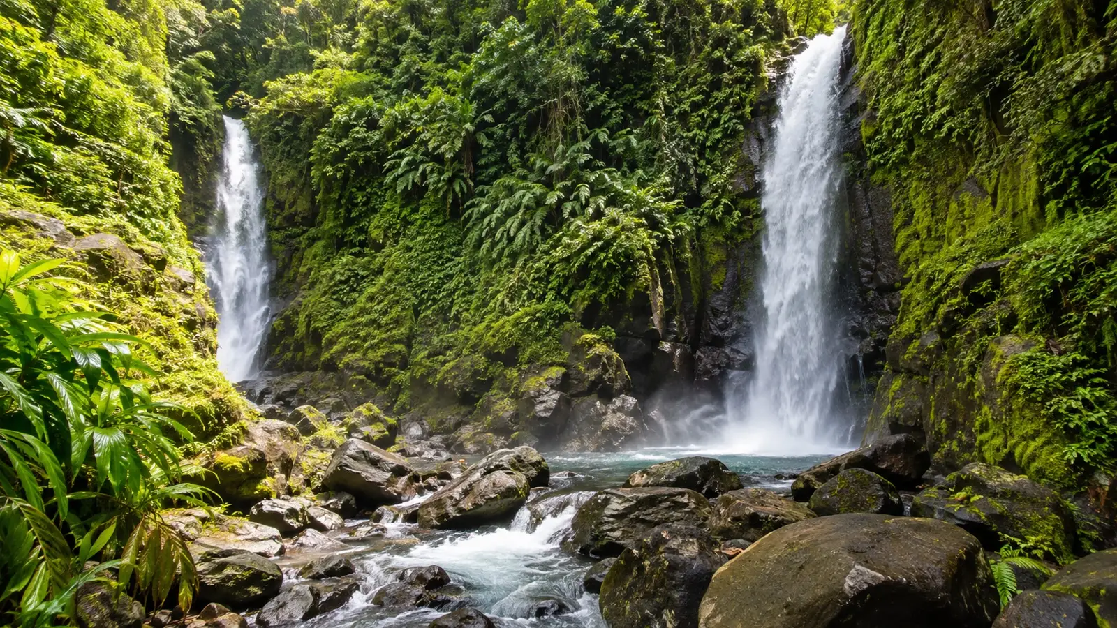 Trafalgar Falls cascading through lush rainforest near Roseau in Dominica