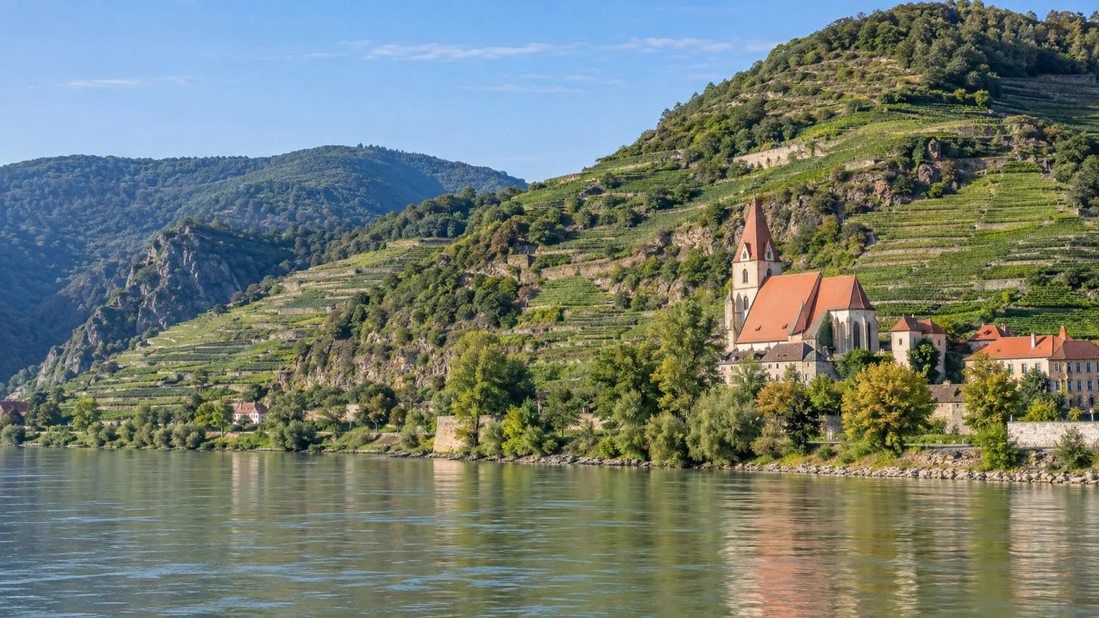 Steep vineyard terraces above the Danube in the Wachau valley