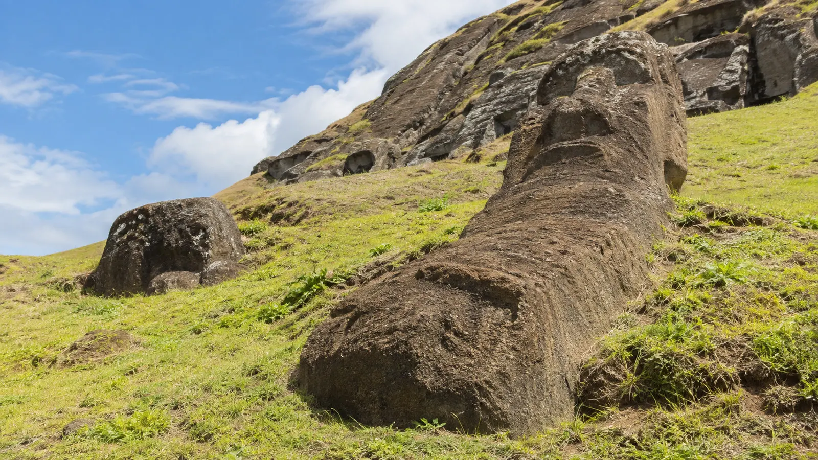 Unfinished moai carved into the slopes of Rano Raraku quarry