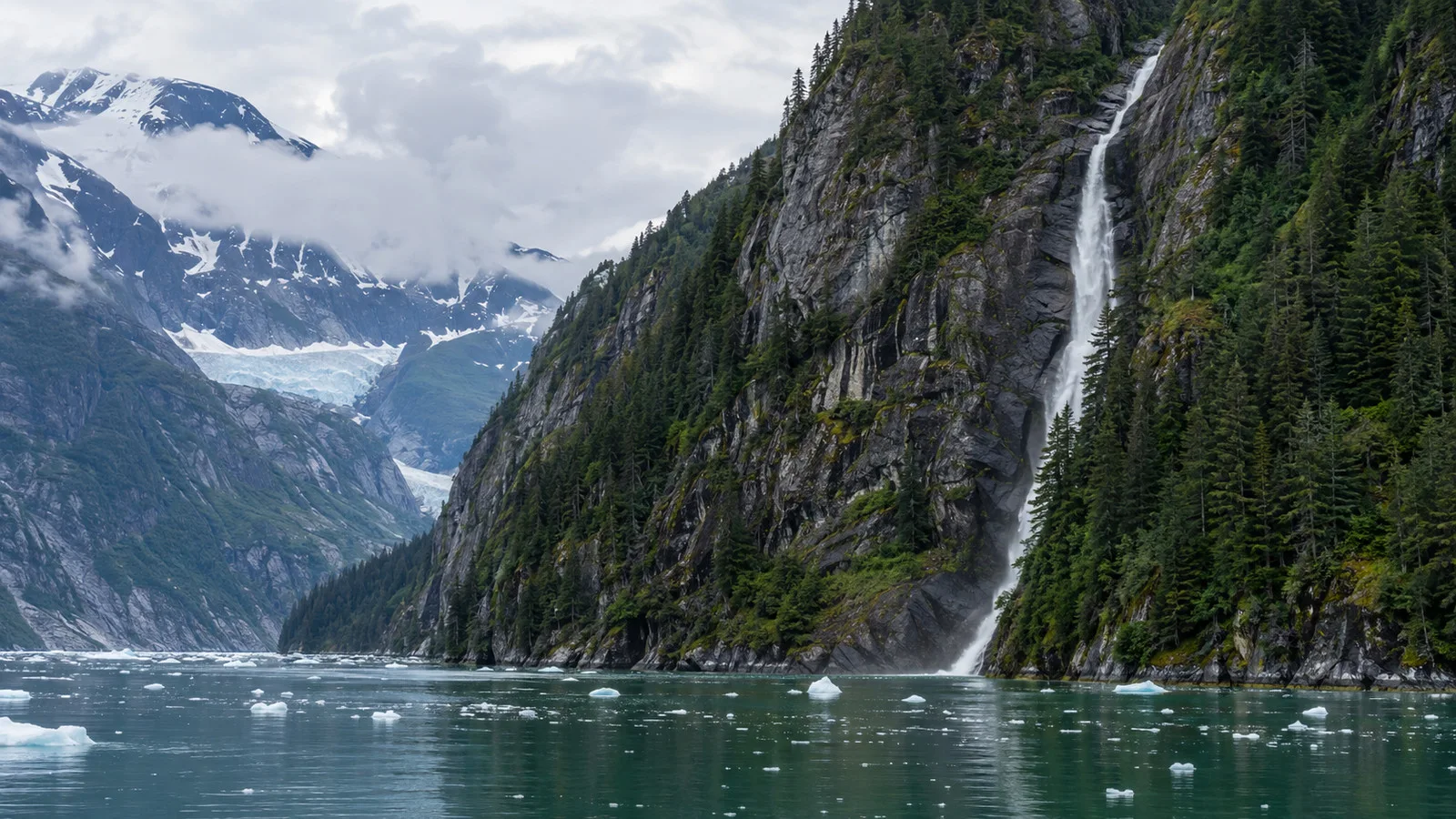 a narrow waterfall descending steep forested granite cliffs into Endicott Arm fjord in Alaska