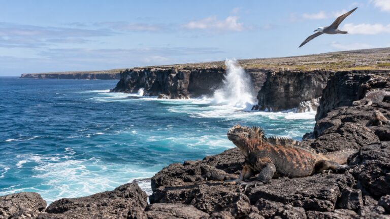 Española Island volcanic coast