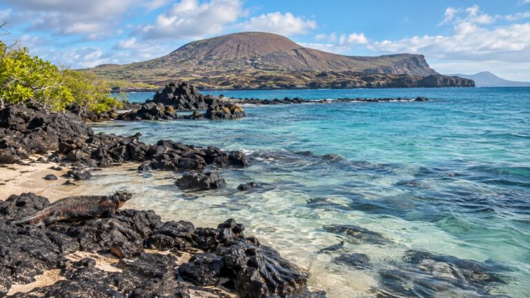 Floreana Island volcanic shoreline