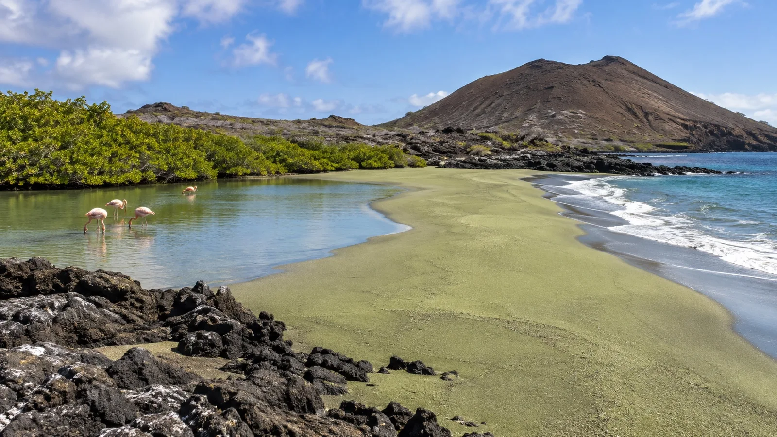 Punta Cormorant green-sand landing and lagoon