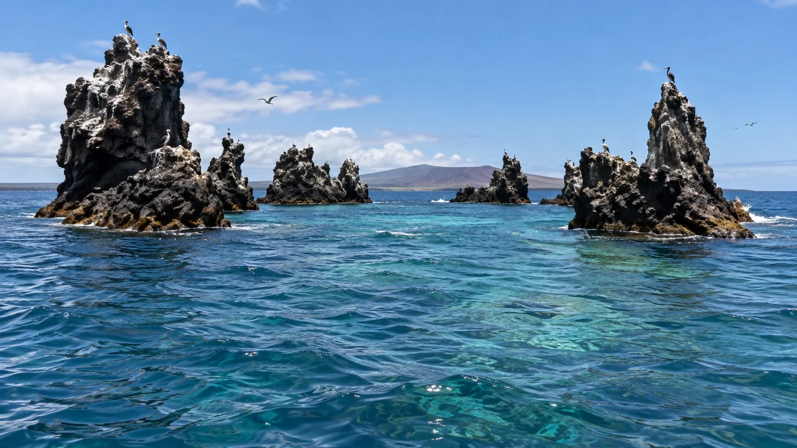 Devil’s Crown volcanic snorkeling rocks