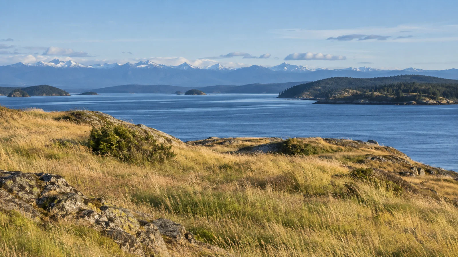 American Camp San Juan Island National Historical Park windswept coastal grasslands with Olympic Mountains across the water, no people