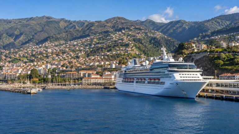 A cruise ship in Funchal harbor with Madeira's green hills behind it