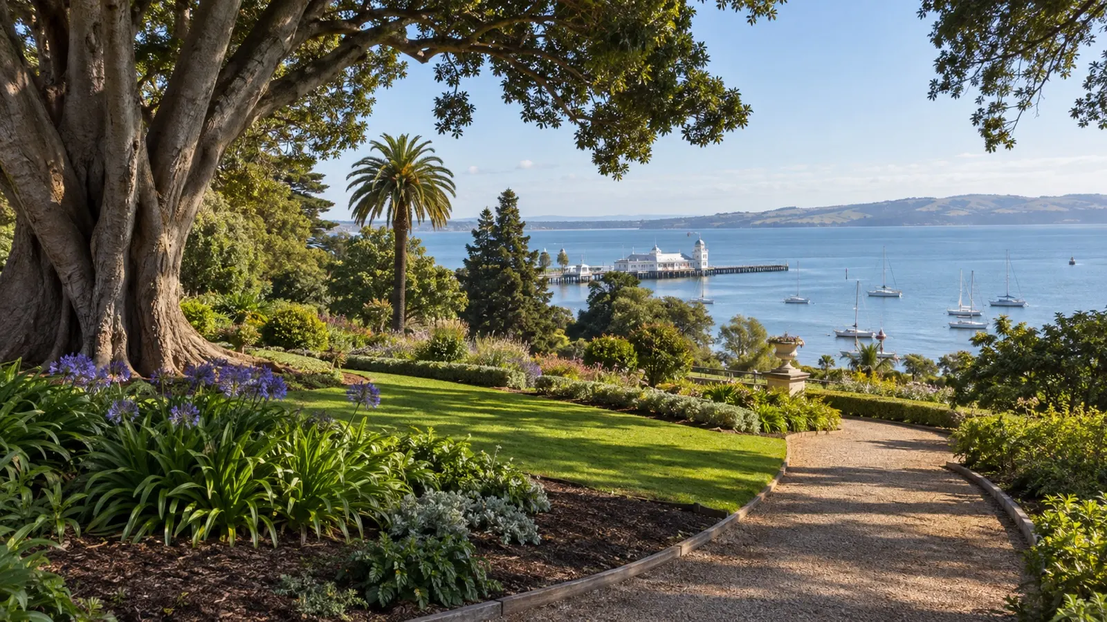 Mature trees and paths in Geelong Botanic Gardens