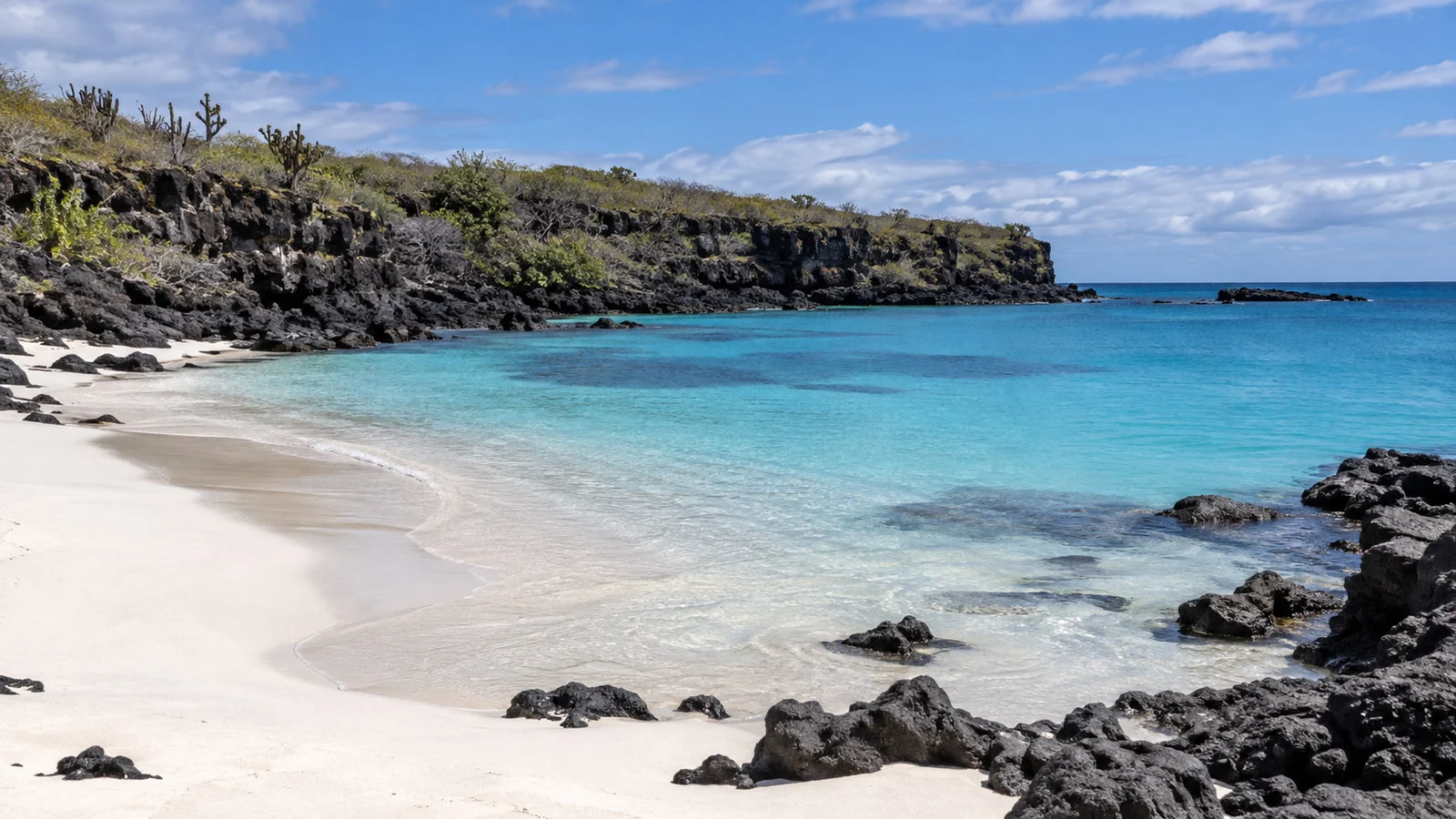 Darwin Bay white sand and low volcanic cliffs on Genovesa Island