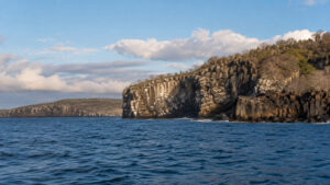 Featured image for Genovesa Island Cruise Guide: Darwin Bay and El Barranco
