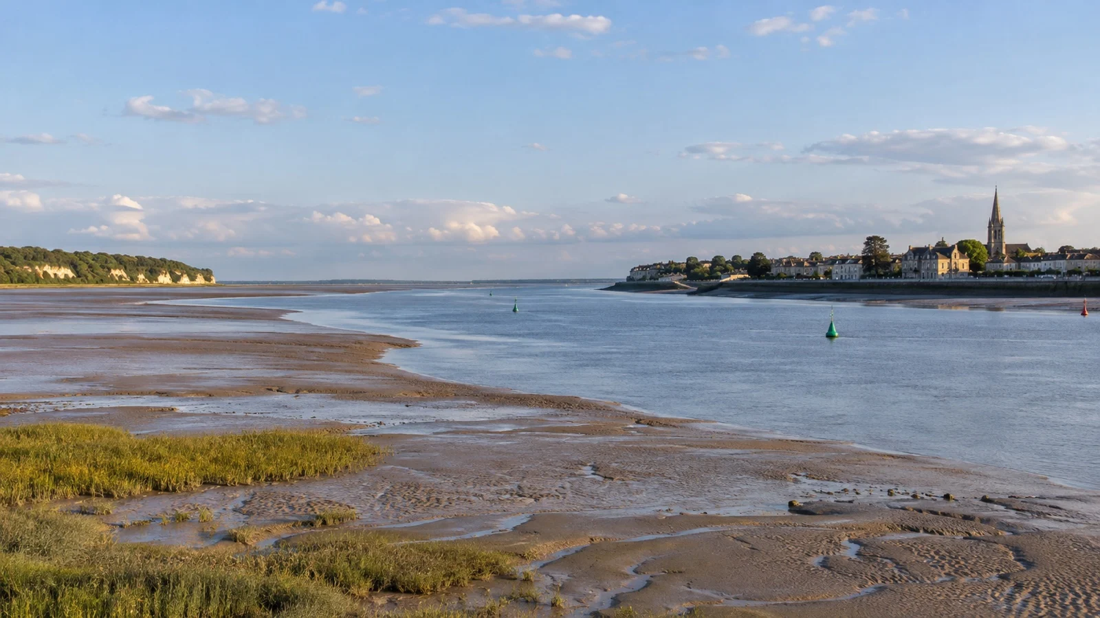 Tidal Gironde estuary with exposed mud banks