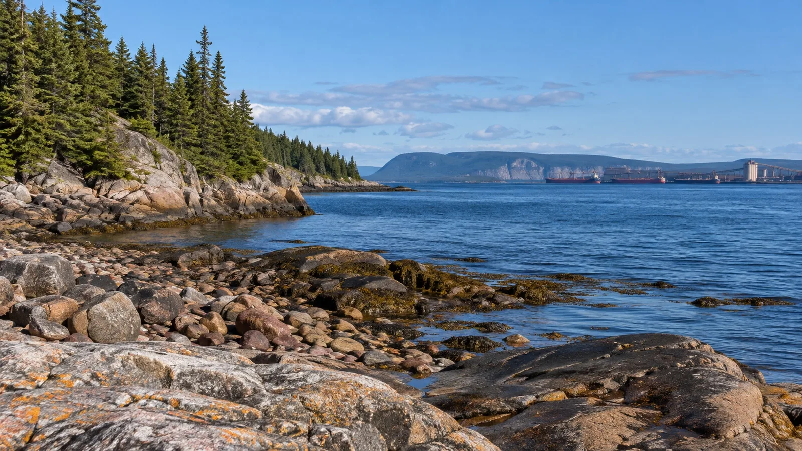 Rocky shore and boreal trees on Grande Basque island