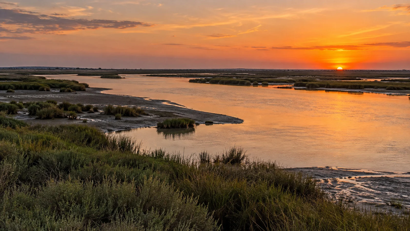 Lower Guadalquivir river channel and wetlands