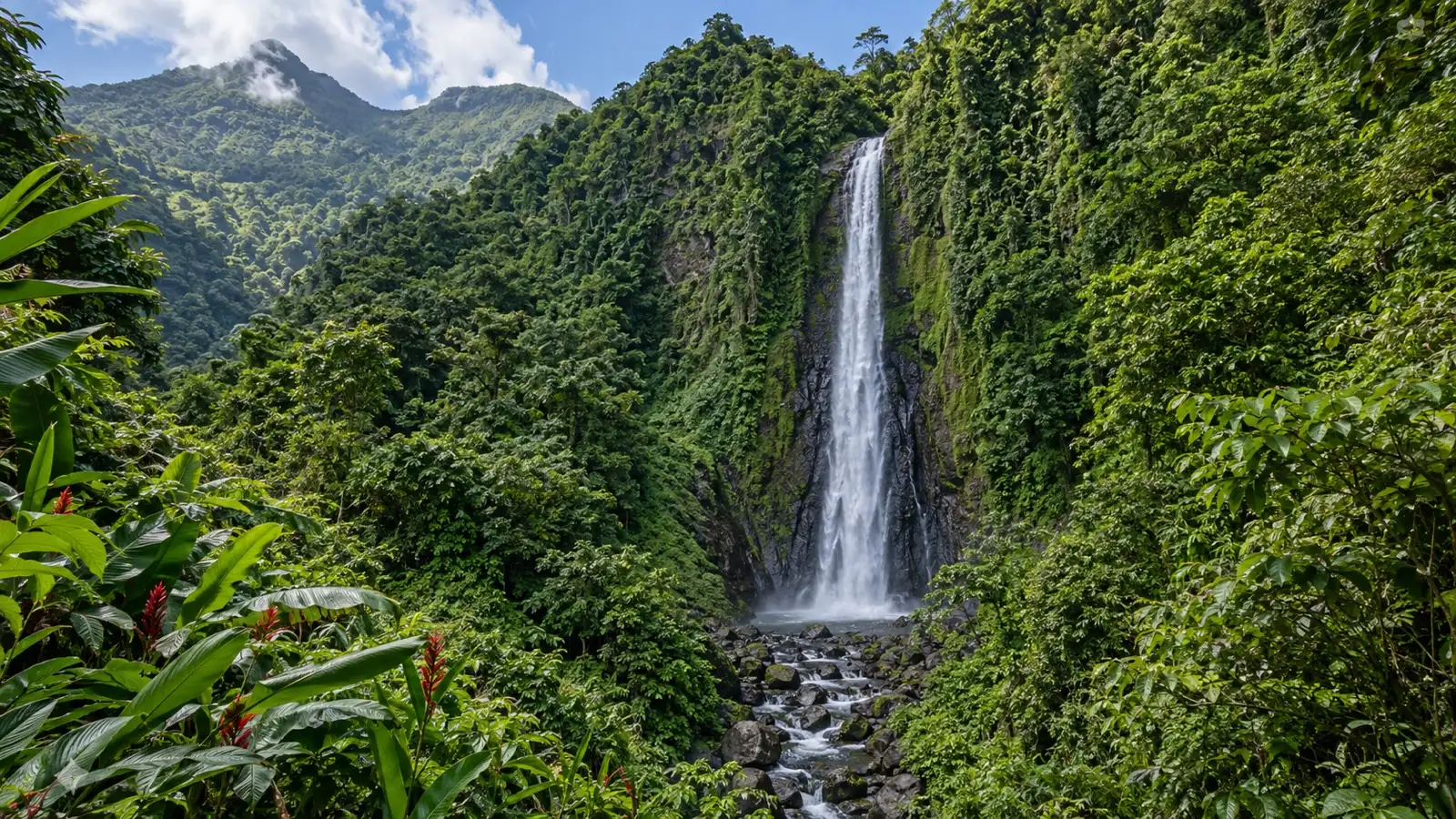 Carbet Falls in the rainforest of Basse-Terre
