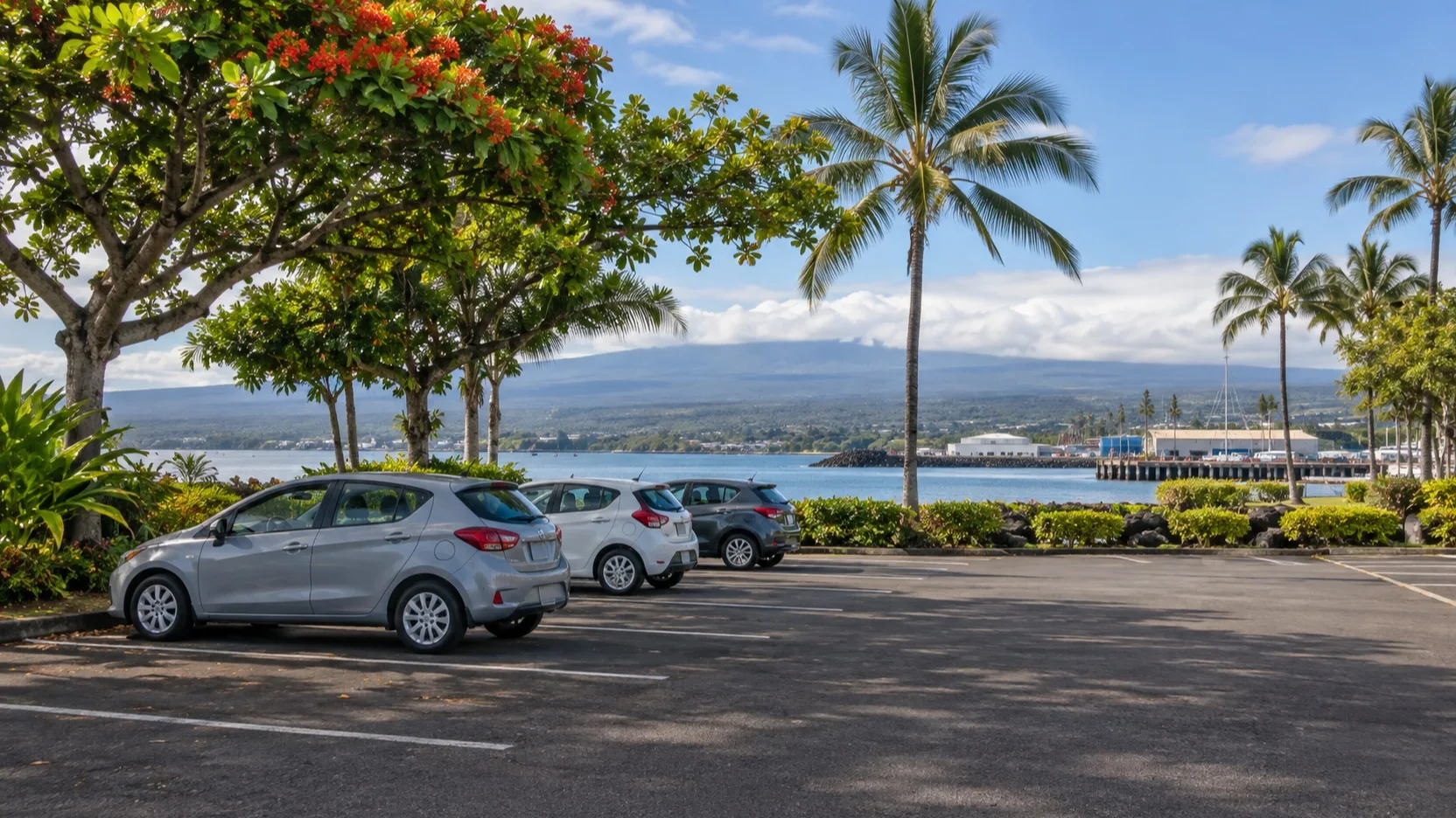 Parked rental cars near Hilo Harbor with tropical trees and bay views