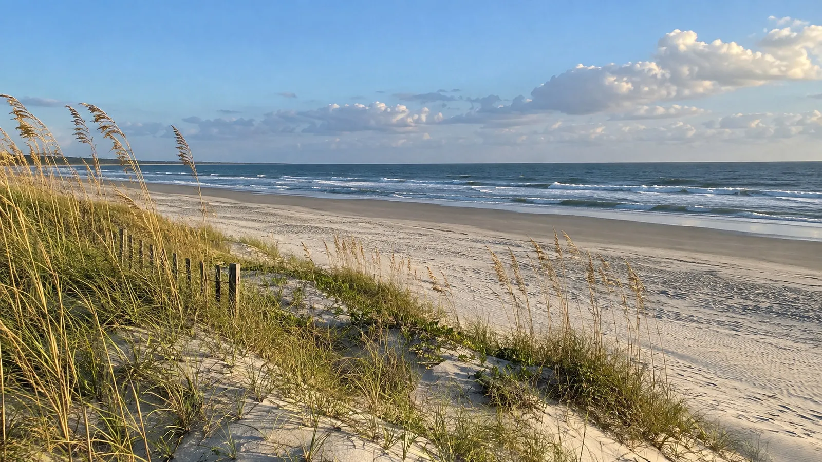 Broad Hilton Head Island public Atlantic beach with dunes and sea oats, no people