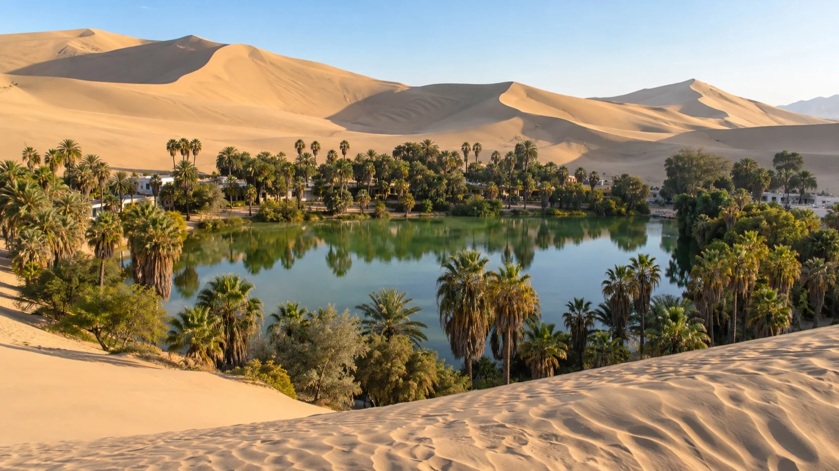 Palm-lined Huacachina lagoon surrounded by high desert dunes