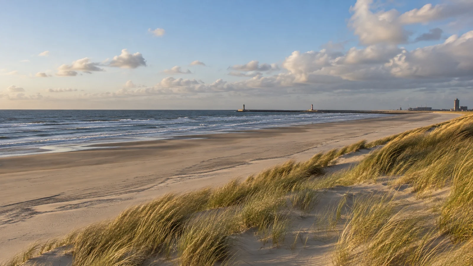 Empty wide North Sea beach and dunes at IJmuiden, Netherlands