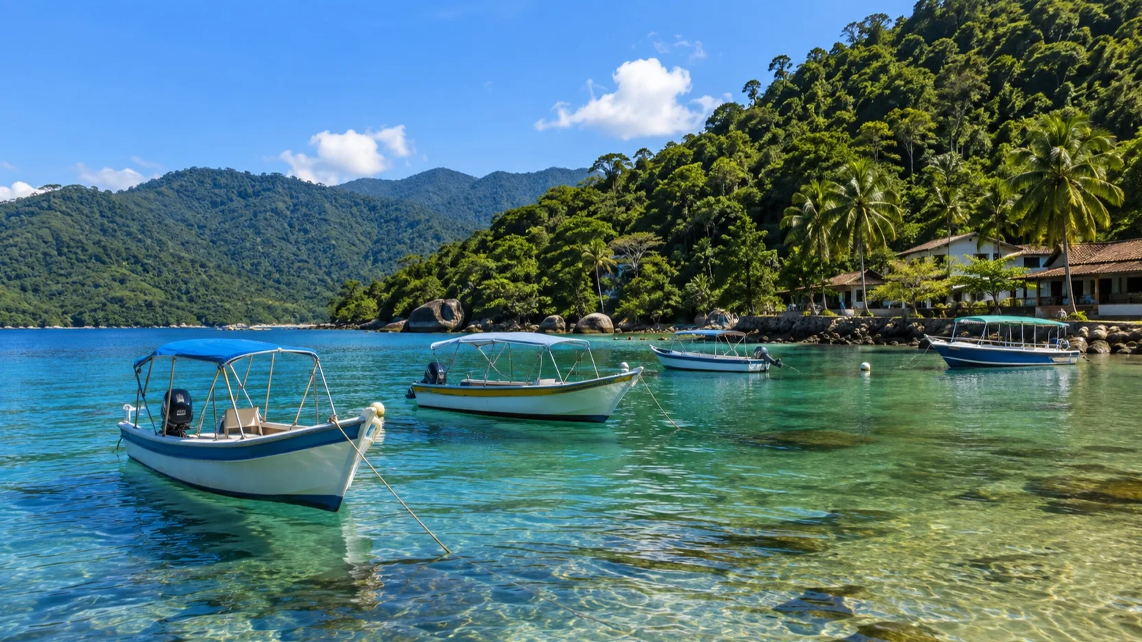 Water taxis in a forest-fringed Ilha Grande cove