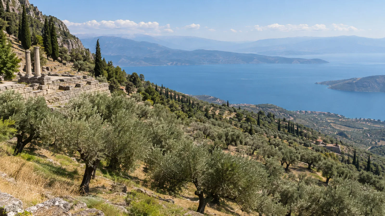 Olive groves descending from Delphi toward the Gulf of Corinth