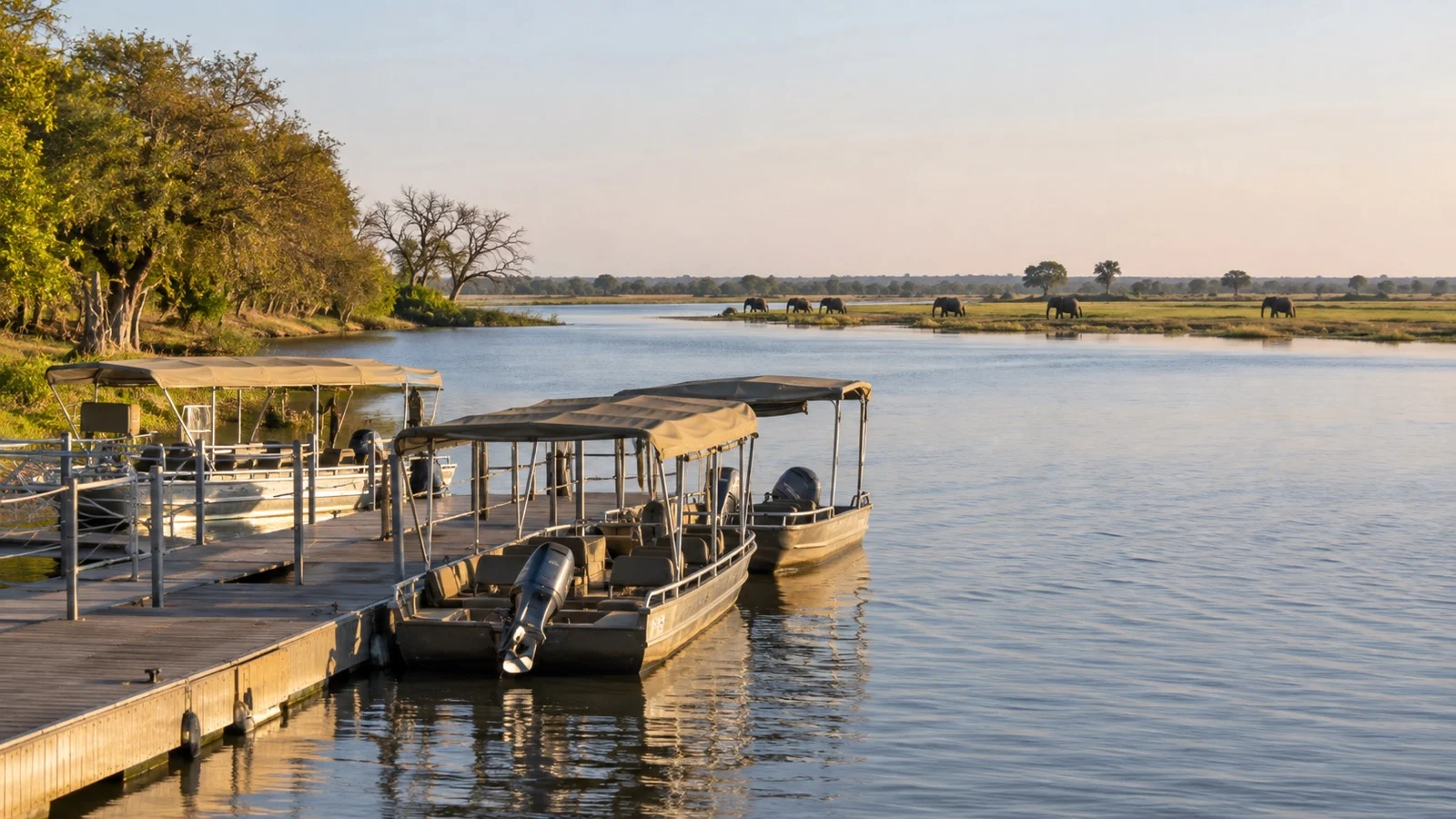Boats moored at Kasane on the Chobe River