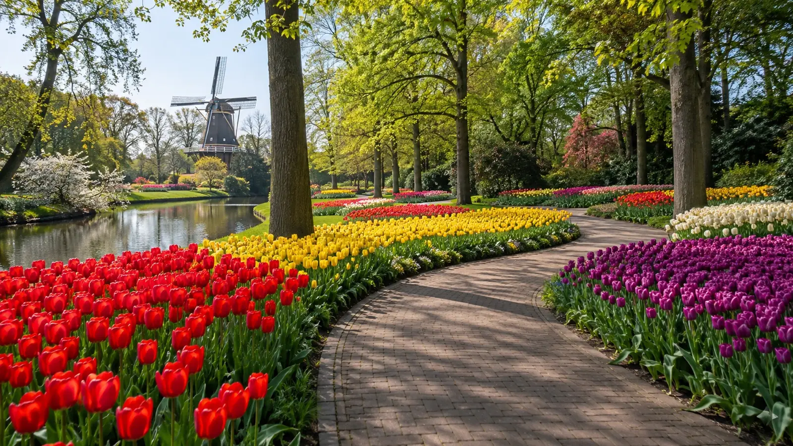 Colorful tulip beds at Keukenhof Gardens
