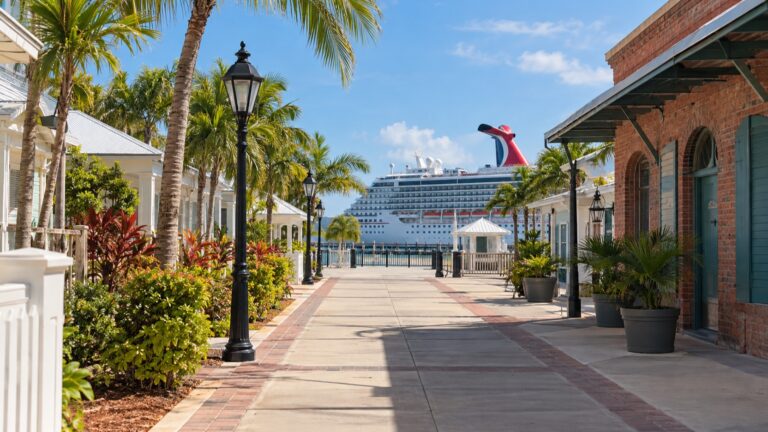 Simple palm-lined walking route to the Key West cruise ship
