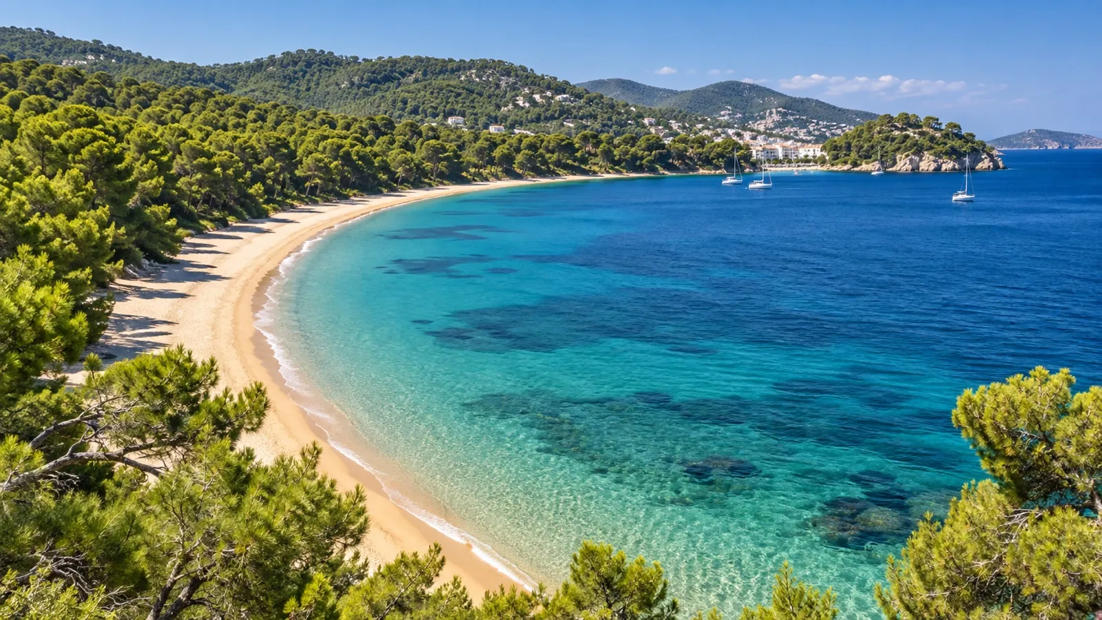 Golden sand and pine forest at Koukounaries Beach