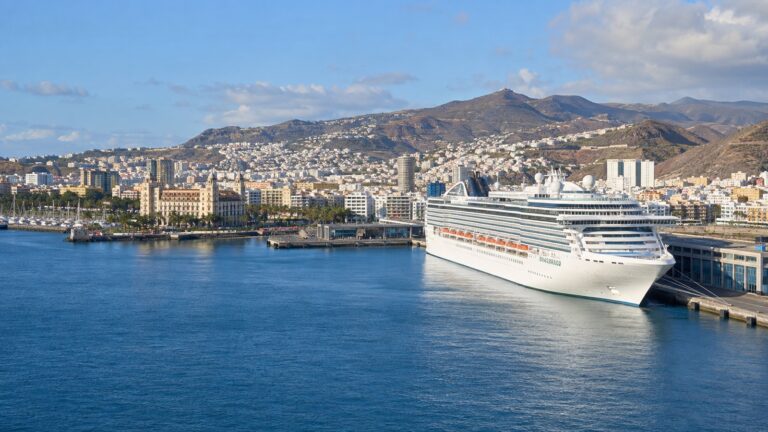 Cruise ship at Las Palmas Santa Catalina port