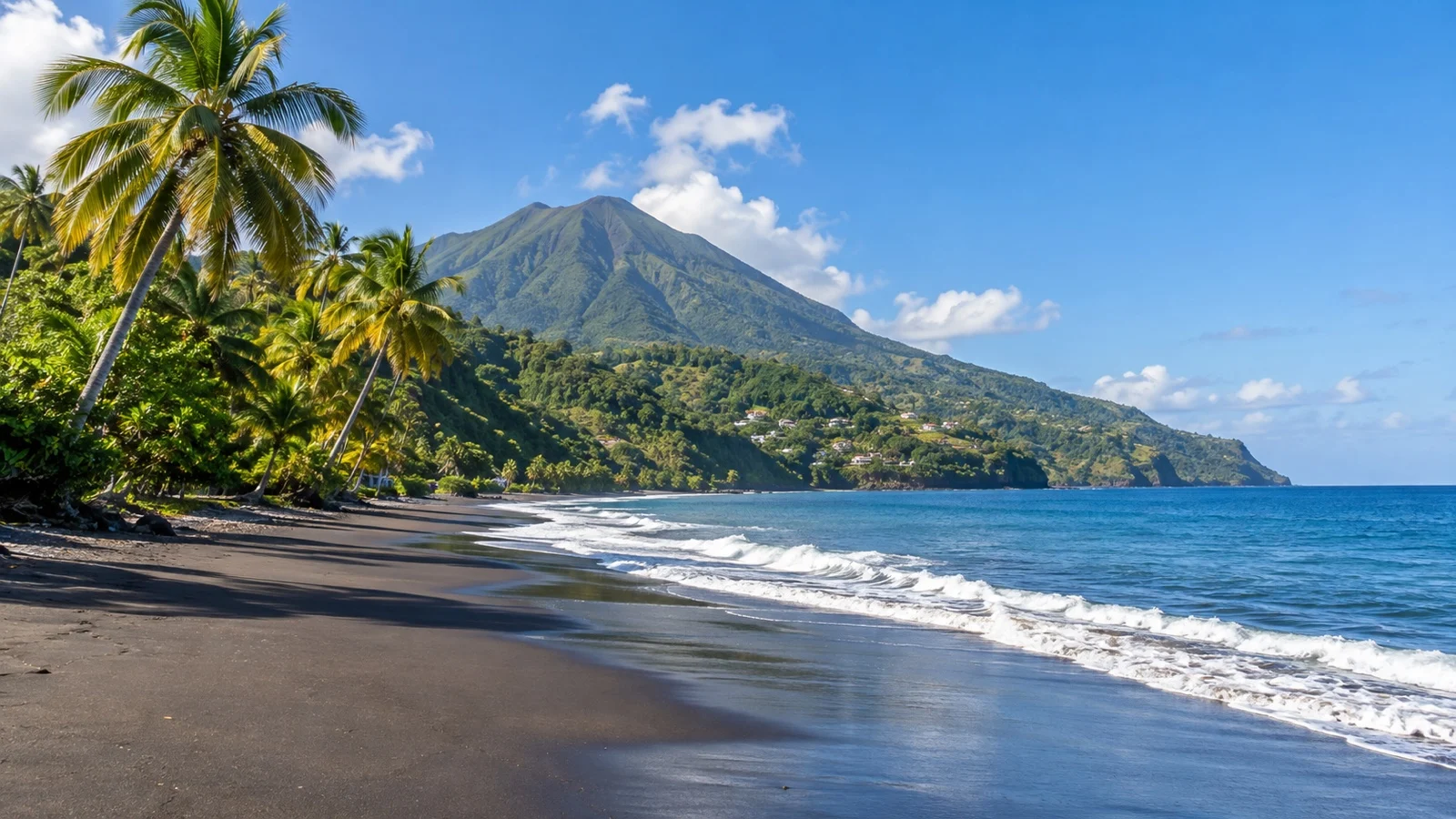 Palm-lined coast and volcanic beach at Le Carbet in Martinique