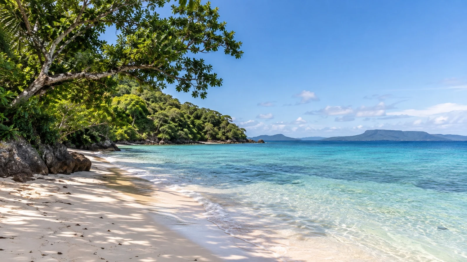 Quiet undeveloped east-facing sandy beach and clear sea on Lelepa Island, Vanuatu
