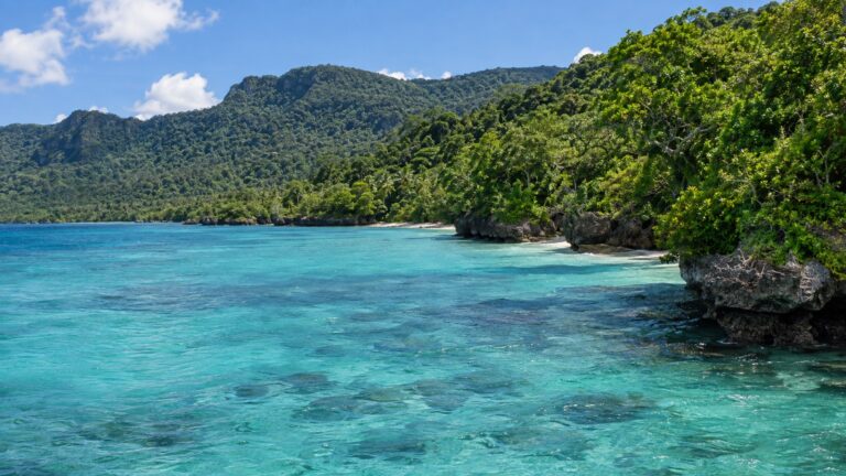 Undeveloped tropical coastline of Lelepa Island, Vanuatu, with forested hills and turquoise water