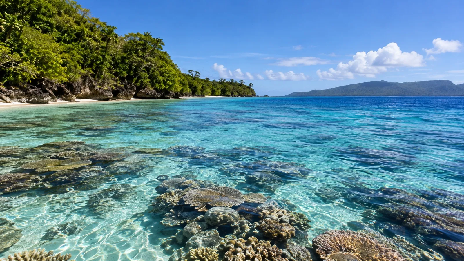 Shallow coral reef and clear water beside Lelepa Island, Vanuatu