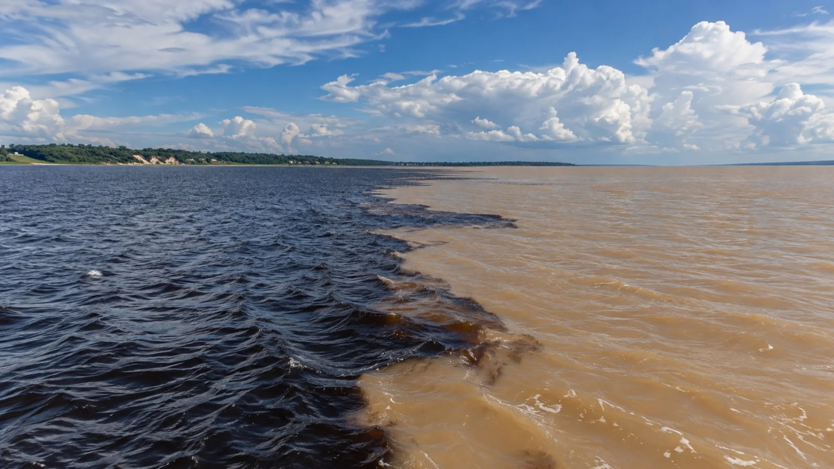 Dark Rio Negro meeting the pale Solimões near Manaus