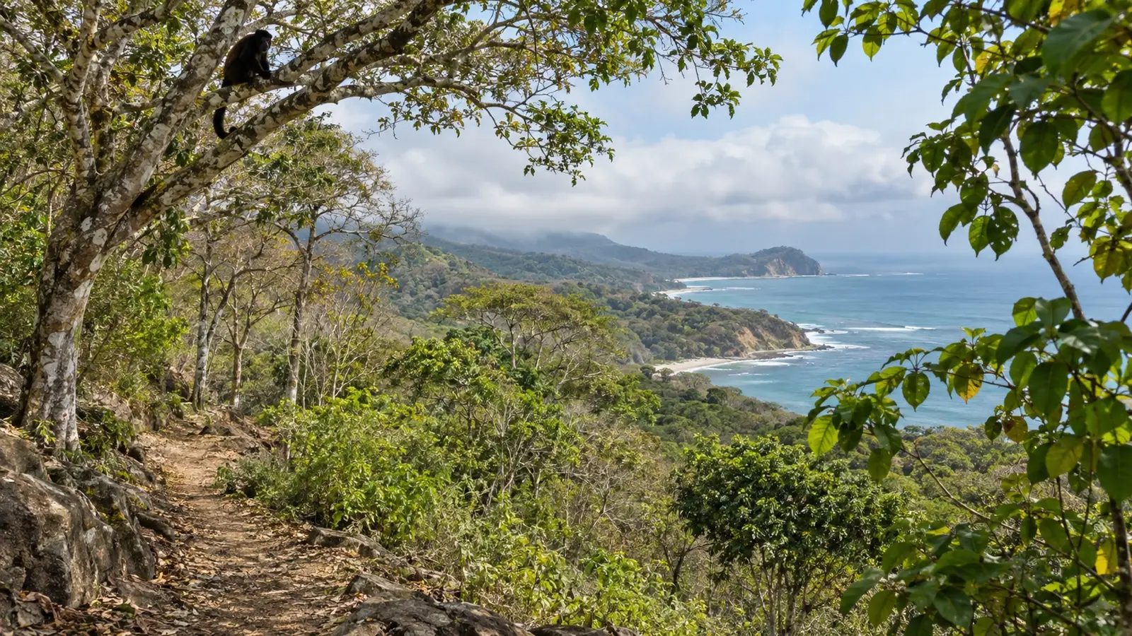 Forest trail and a distant howler monkey in Pacoche Wildlife Refuge
