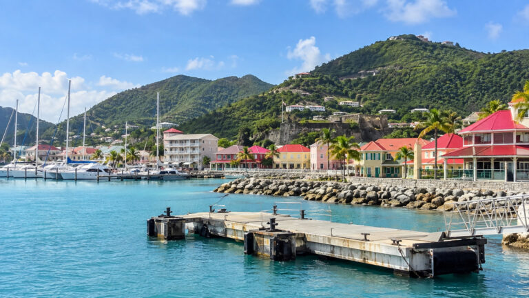 Marigot Saint Martin French Caribbean waterfront tender landing with colorful low buildings, marina and tropical hills, no people