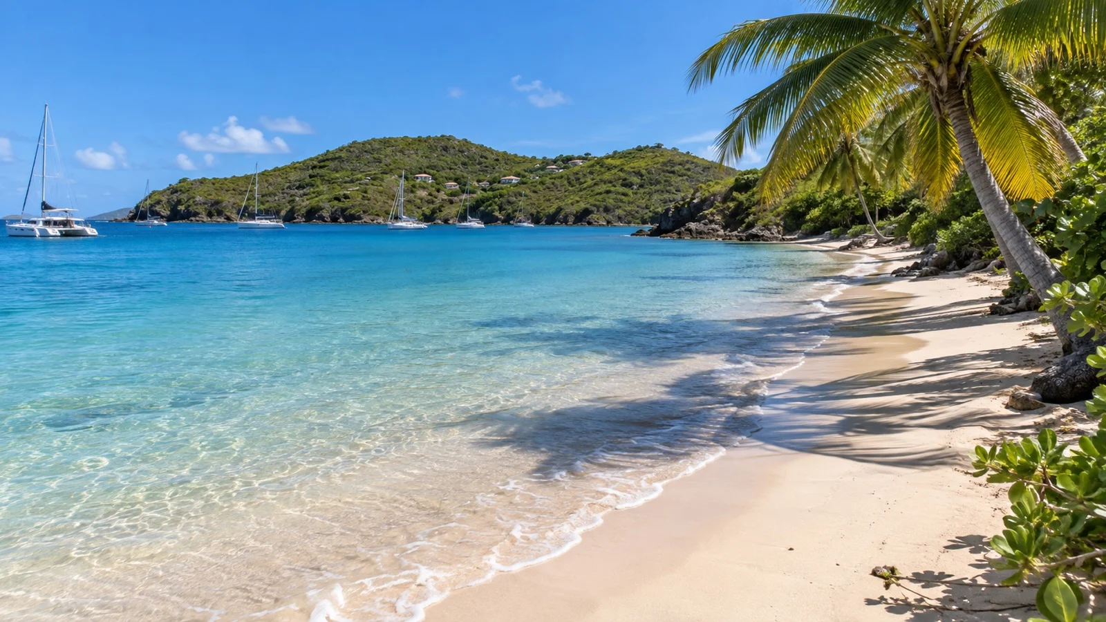 Empty Saline Bay beach beside turquoise water on Mayreau