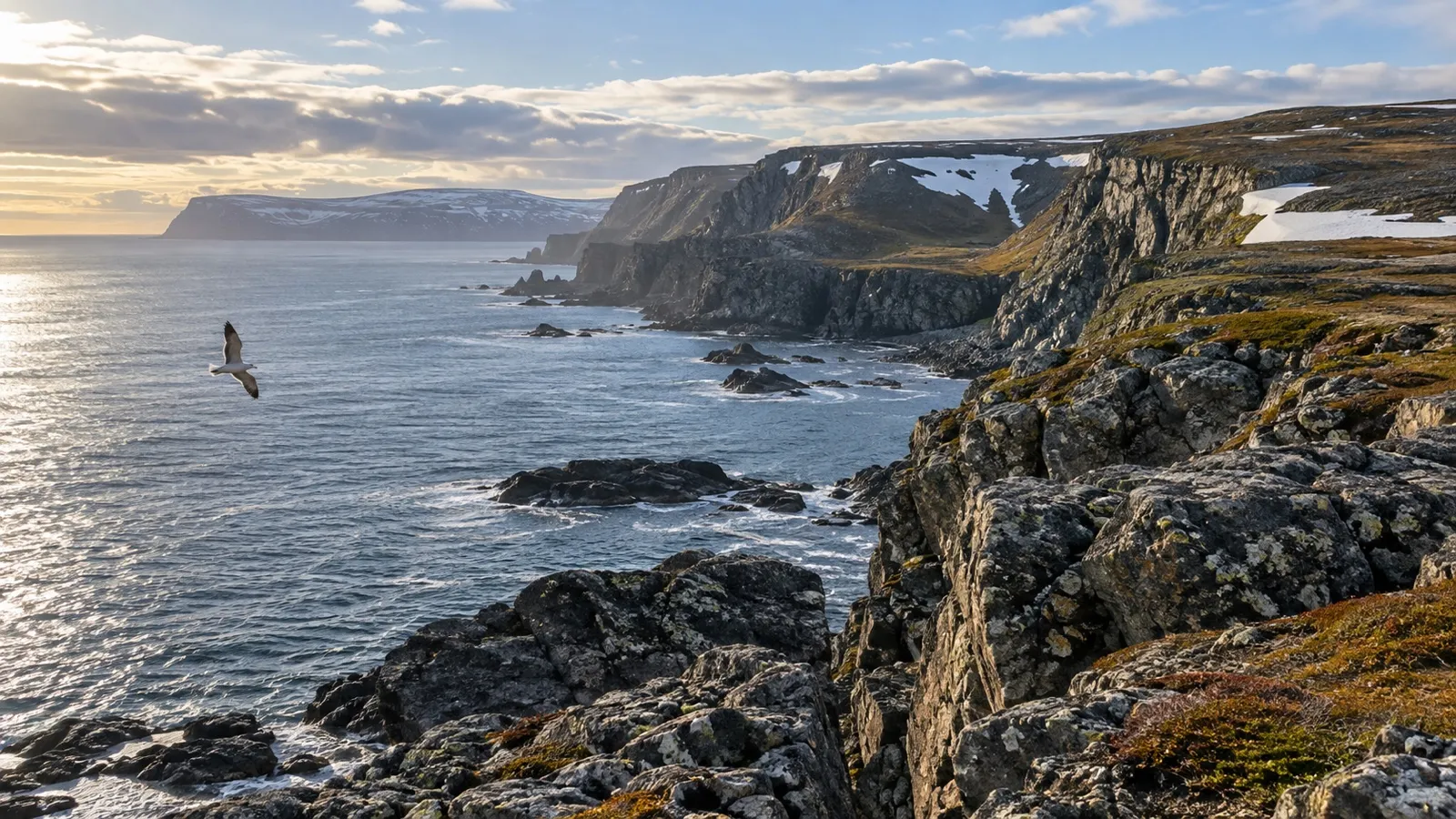 Nordkinn Peninsula rocky shoreline