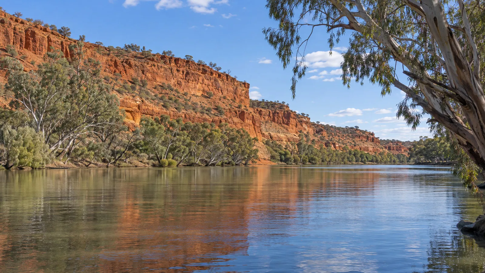 Murray River red cliffs and river gums near Morgan, South Australia