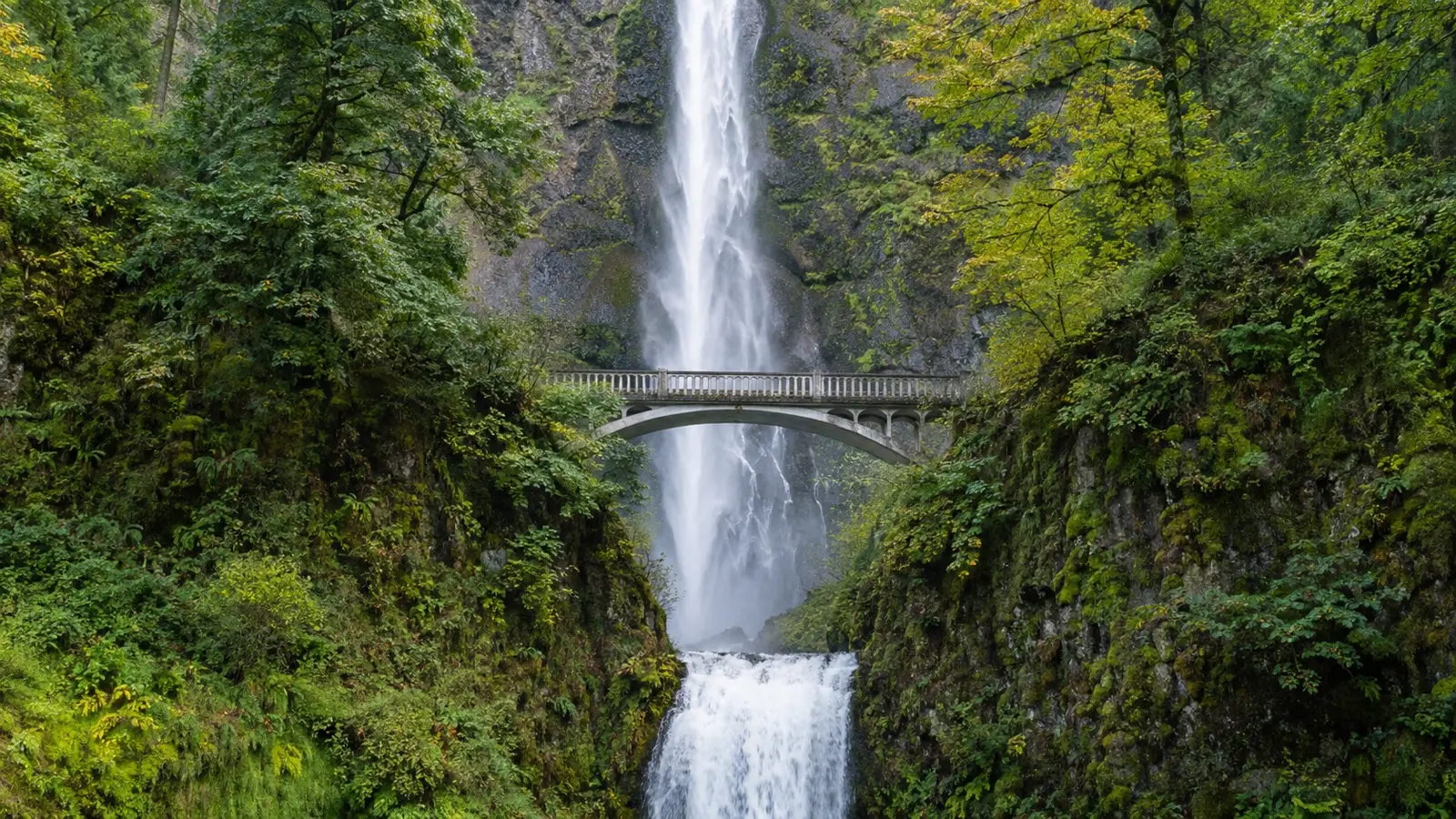 Multnomah Falls in Columbia River Gorge