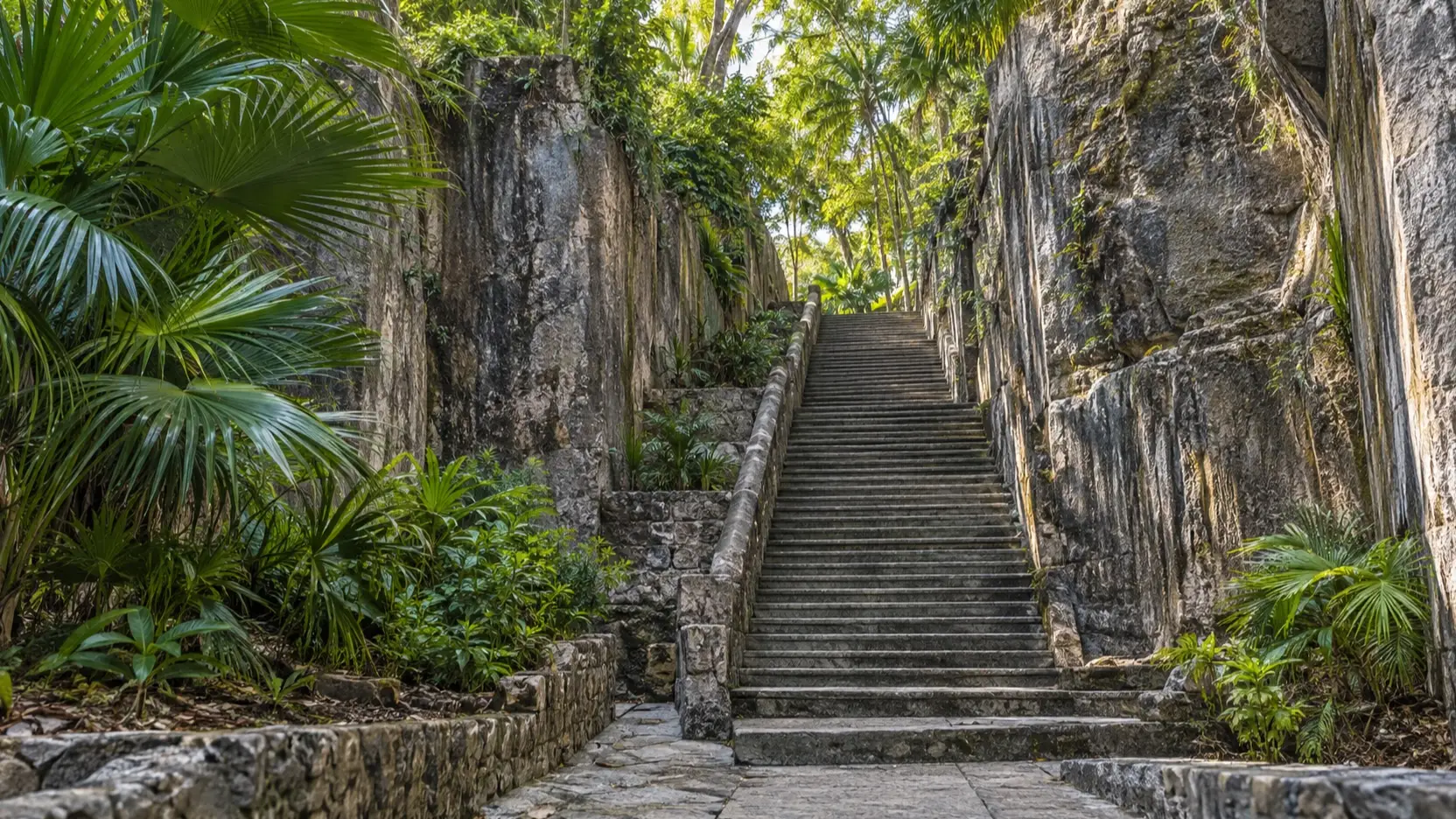 Empty Queen’s Staircase beneath tropical foliage in Nassau