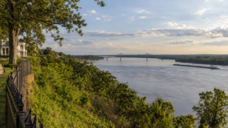 Mississippi River viewed from the bluff at Natchez