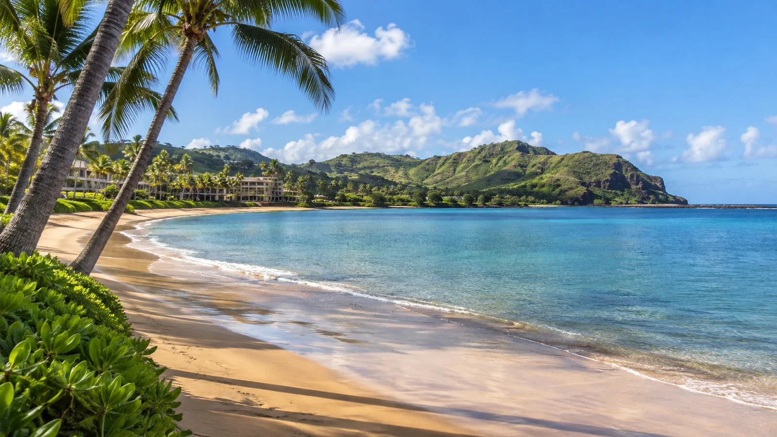 Kalapaki Bay beach and palms near Nawiliwili