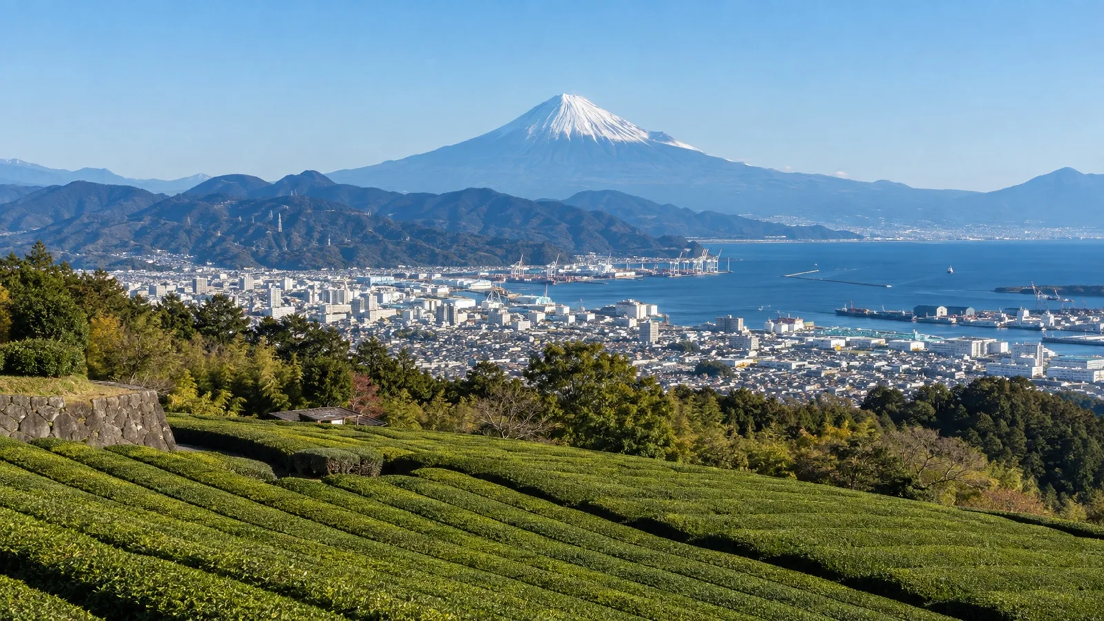 Mount Fuji view from Nihondaira plateau
