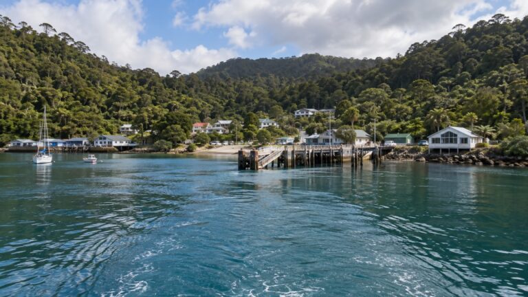 Tender boat approaching Oban Halfmoon Bay on Stewart Island