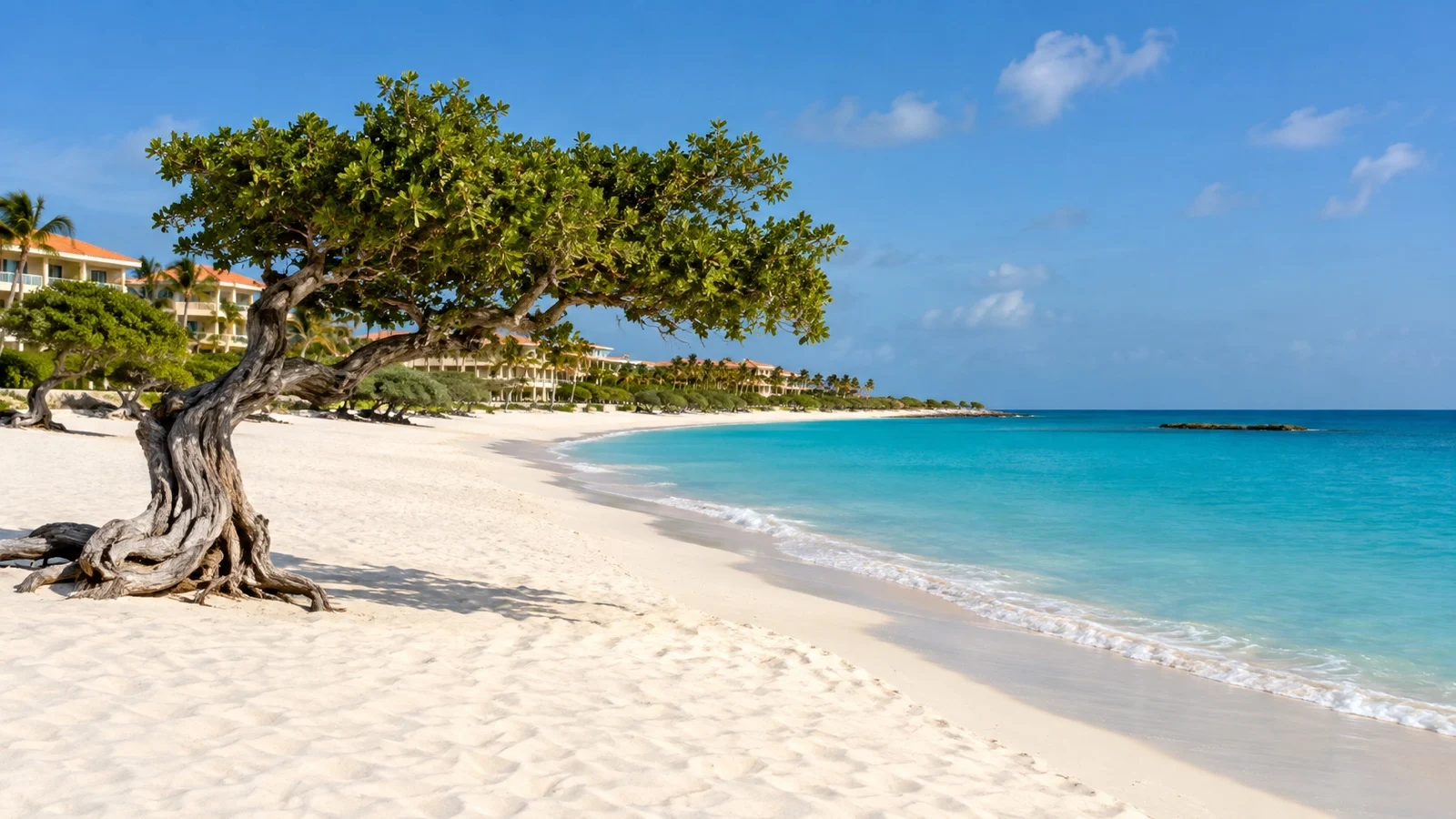 Eagle Beach in Aruba with low hotel buildings, divi-divi trees and wide pale sand by blue water