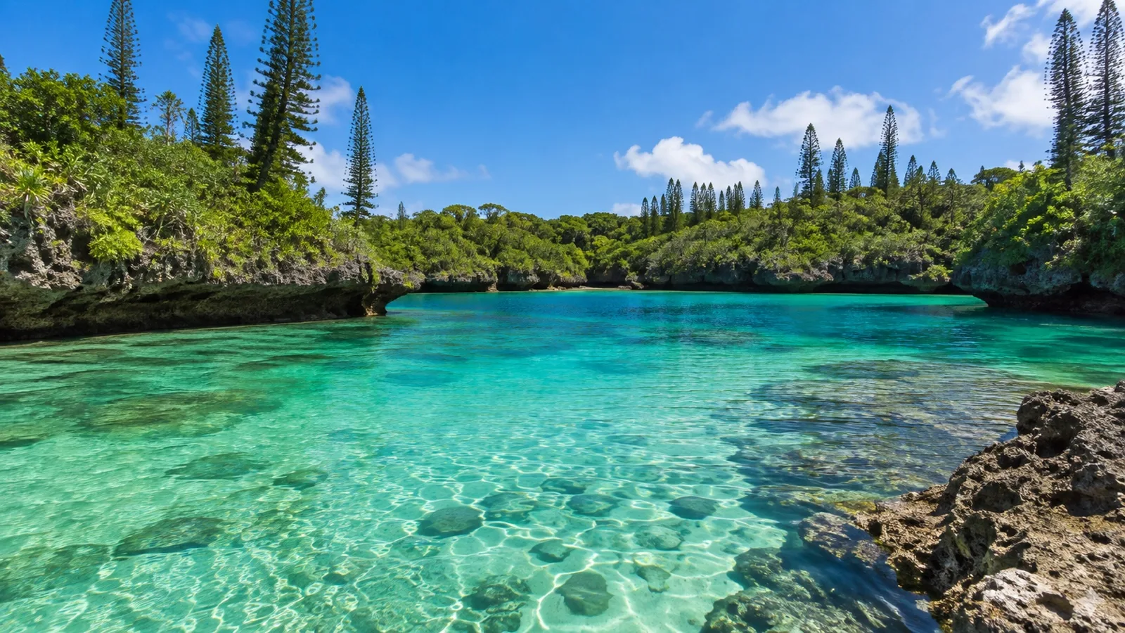 Clear natural pool enclosed by coastal forest at Oro Bay
