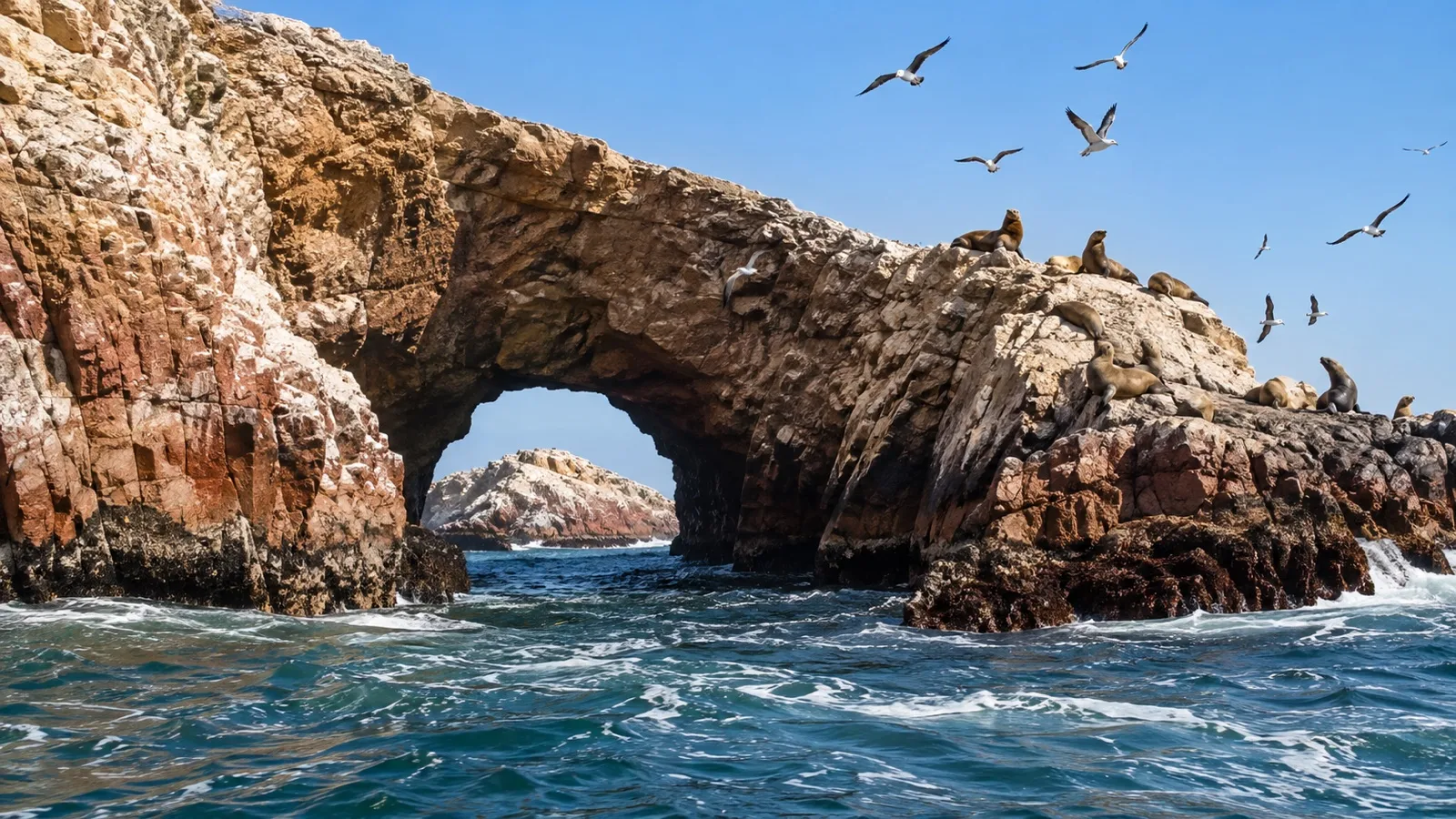 Sea lions and seabirds on the Ballestas Islands near Paracas